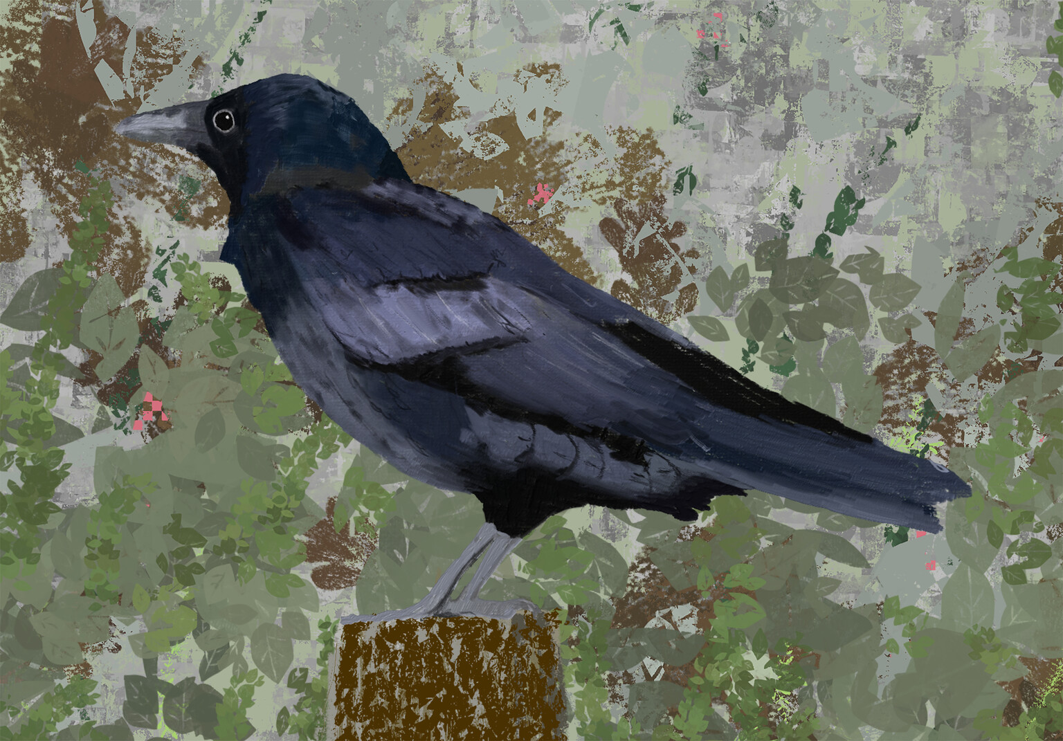 Carrion crow
